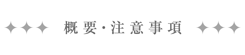 概要・注意事項